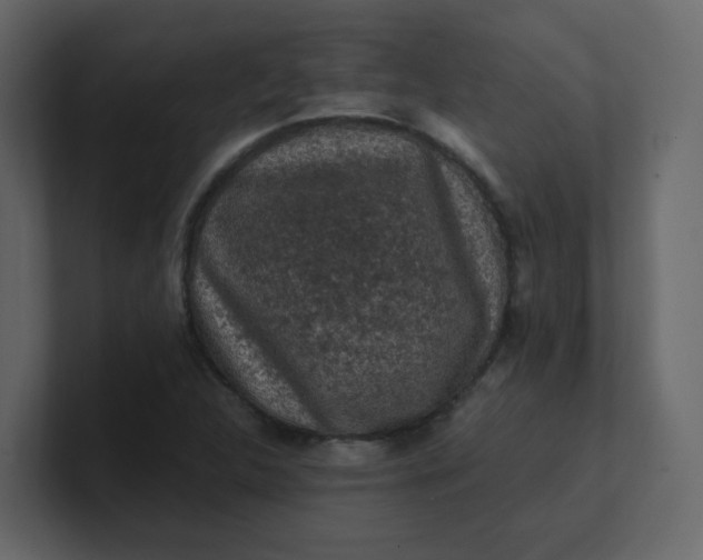 X0000101121312200807101534