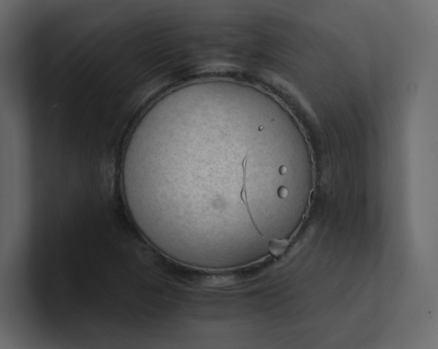 X0000101121313200807101534