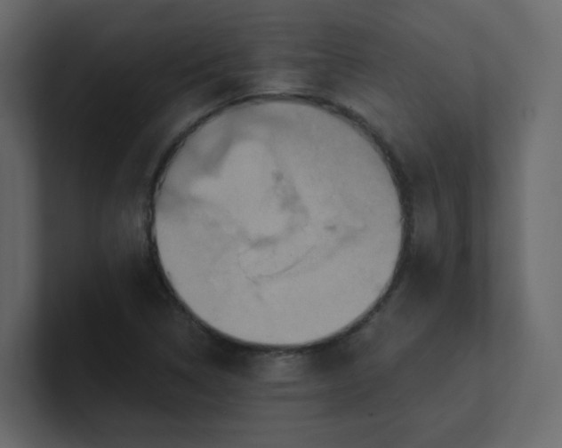 X0000101121314200807101534