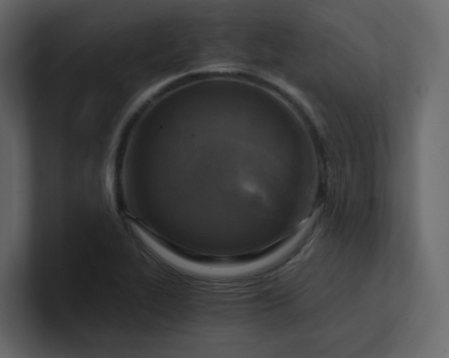 X0000101121319200807101534