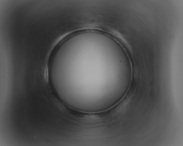 X0000101121320200807101534