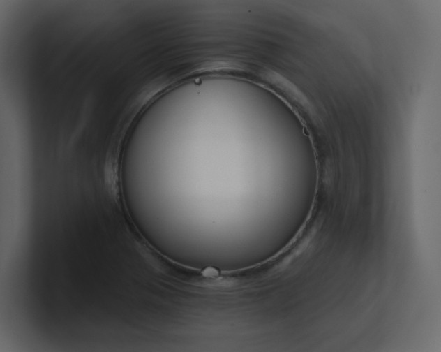 X0000101121321200807101534