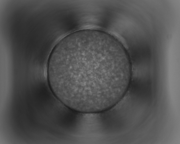 X0000101121322200807101534