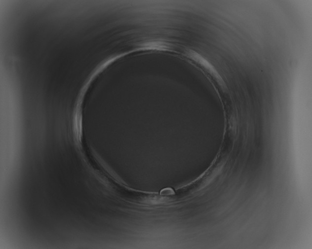 X0000101121323200807101534