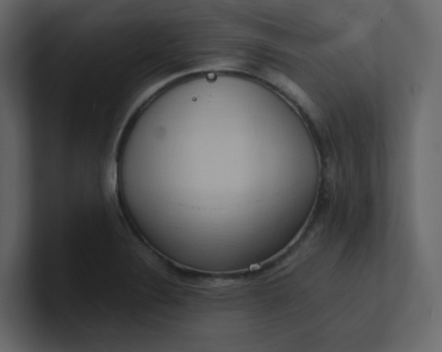 X0000101121324200807101534