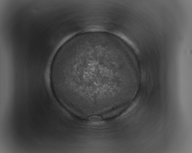 X0000101121325200807101534