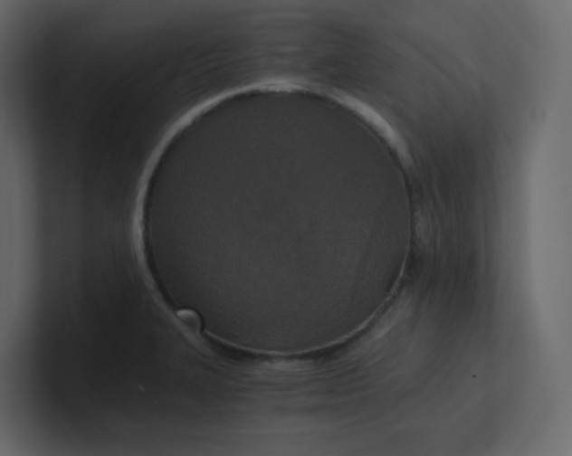 X0000101121327200807101534