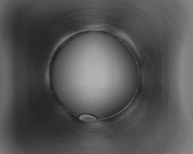 X0000101121328200807101534