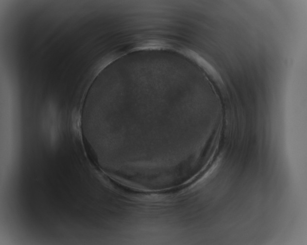 X0000101121329200807101534