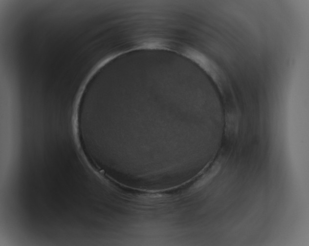 X0000101121331200807101534