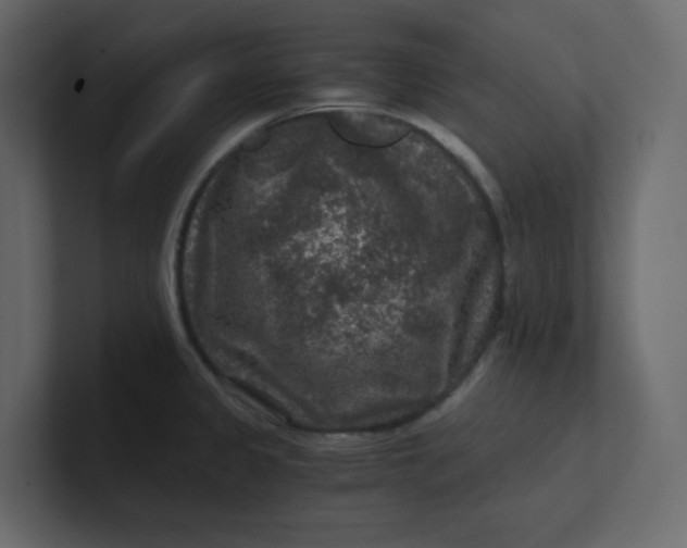 X0000101121333200807101534