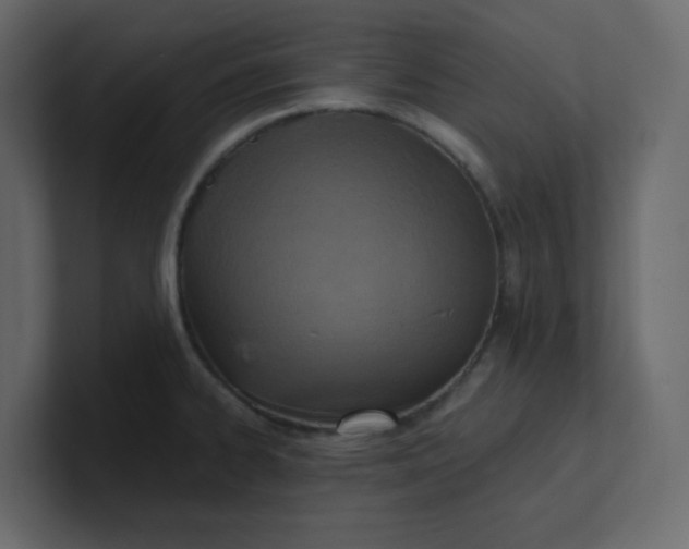 X0000101121334200807101534
