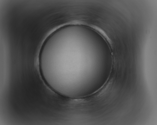 X0000101121335200807101534