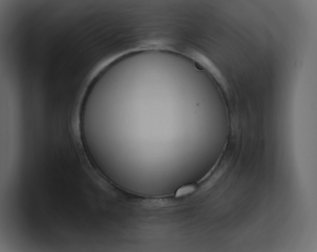 X0000101121336200807101534