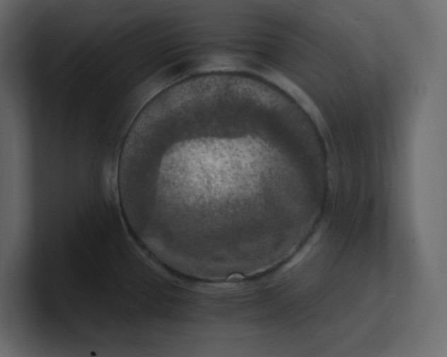 X0000101121337200807101534