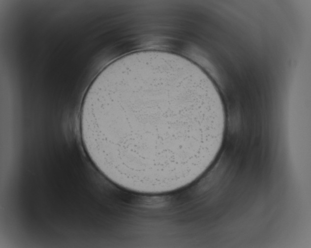 X0000101121338200807101534