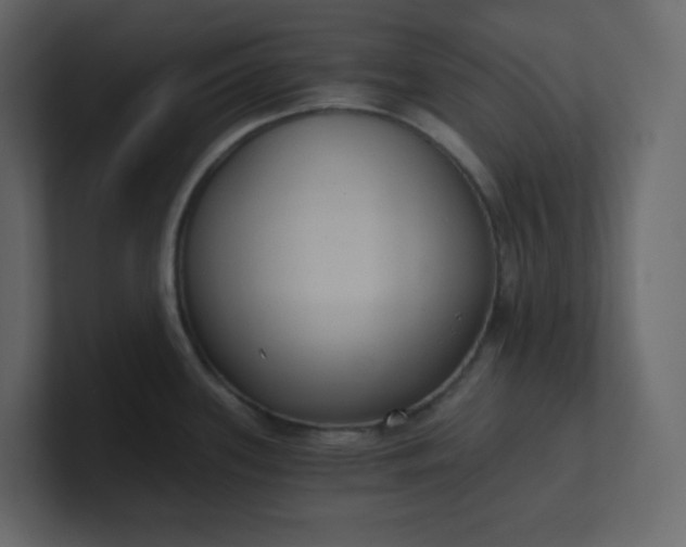 X0000101121339200807101534