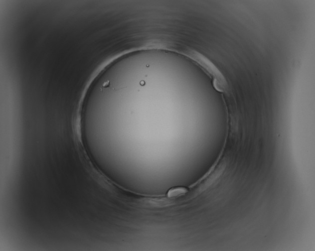 X0000101121340200807101534