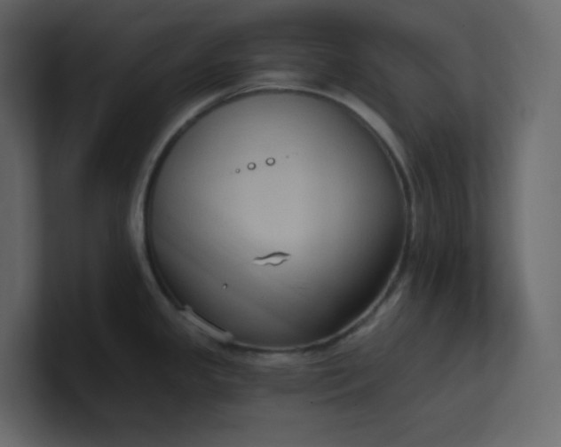 X0000101121341200807101534