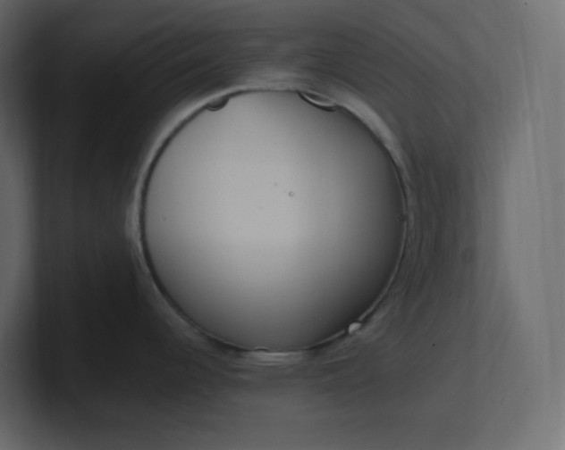 X0000101121344200807101534