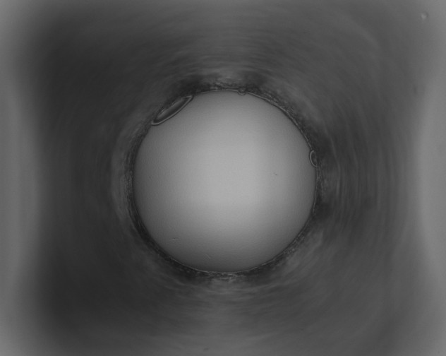 X0000101121345200807101534
