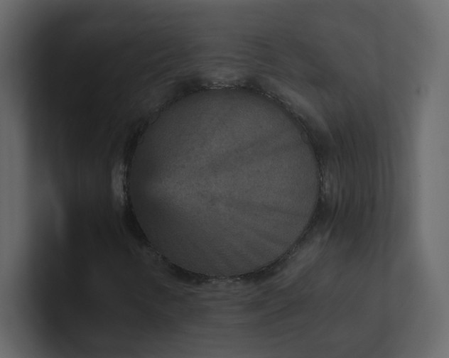 X0000101121346200807101534