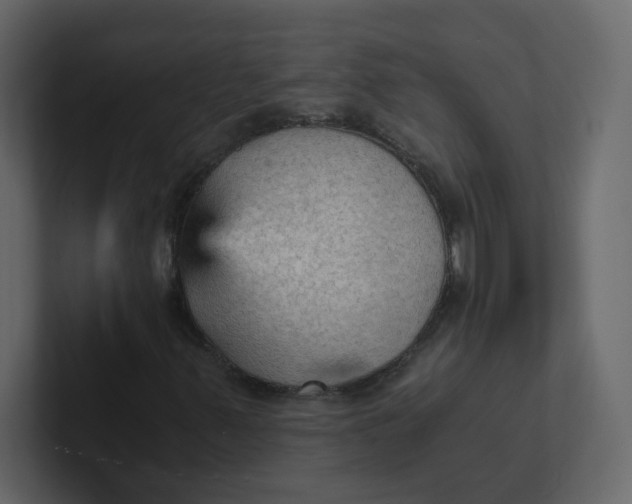 X0000101121347200807101534