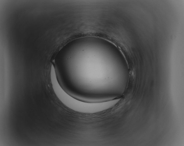 X0000101121348200807101534