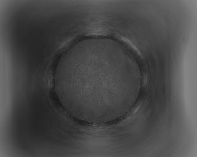 X0000101121350200807101534