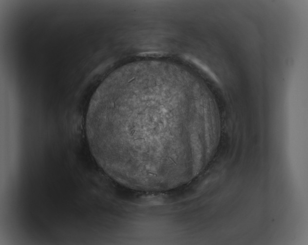 X0000101121351200807101534