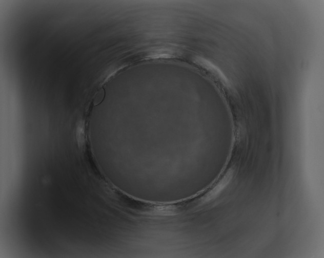 X0000101121353200807101534