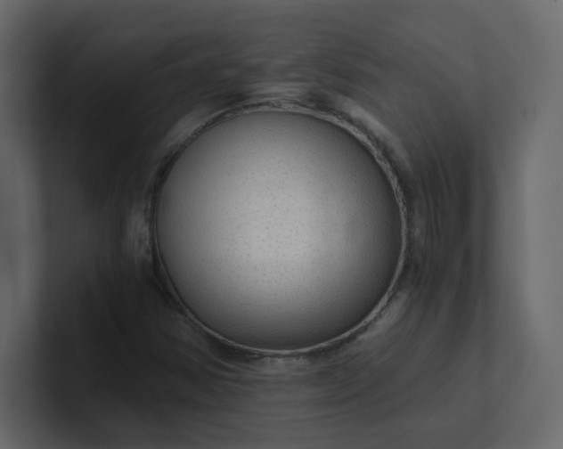 X0000101121354200807101534