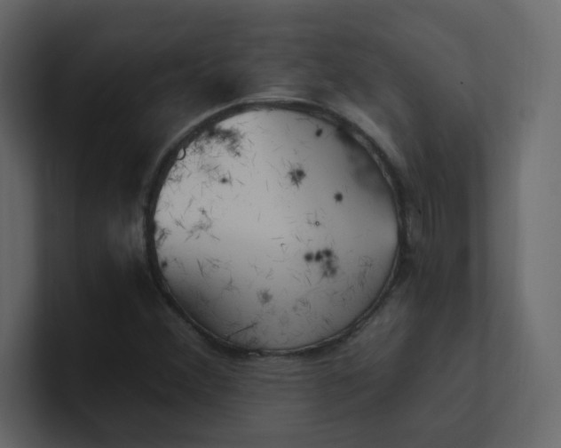 X0000101121356200807101534