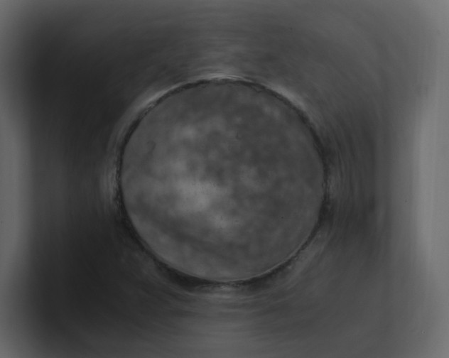 X0000101121359200807101534