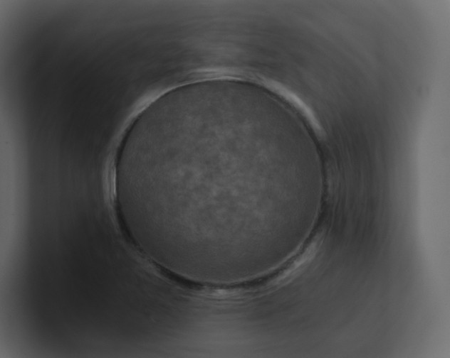 X0000101121365200807101533