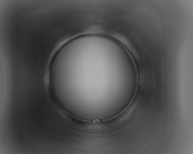 X0000101121366200807101533