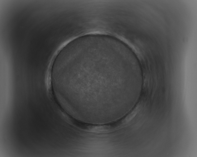 X0000101121367200807101533