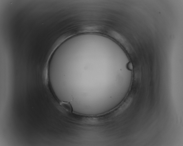 X0000101121370200807101533