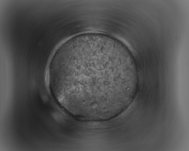 X0000101121371200807101533