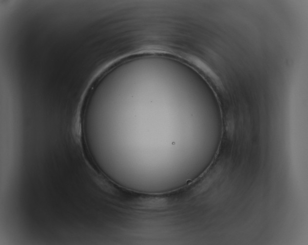 X0000101121372200807101533