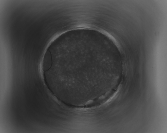X0000101121373200807101533
