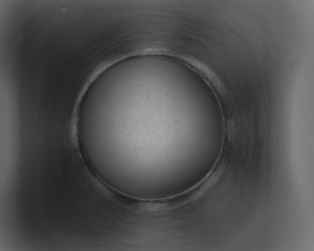 X0000101121374200807101533