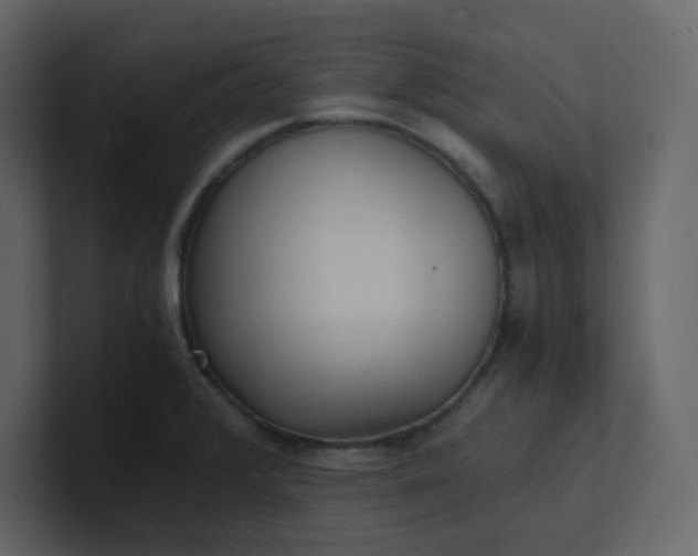 X0000101121376200807101533