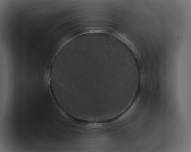 X0000101121377200807101533