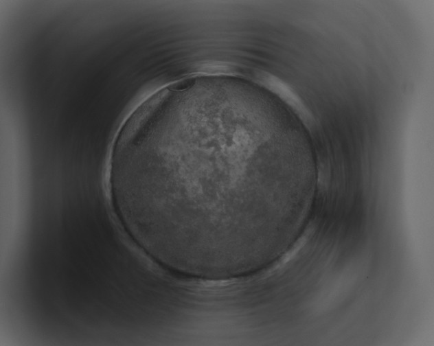 X0000101121378200807101533