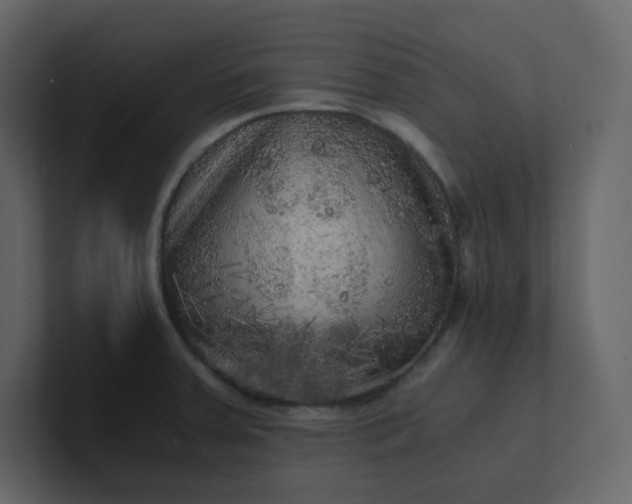 X0000101121379200807101533