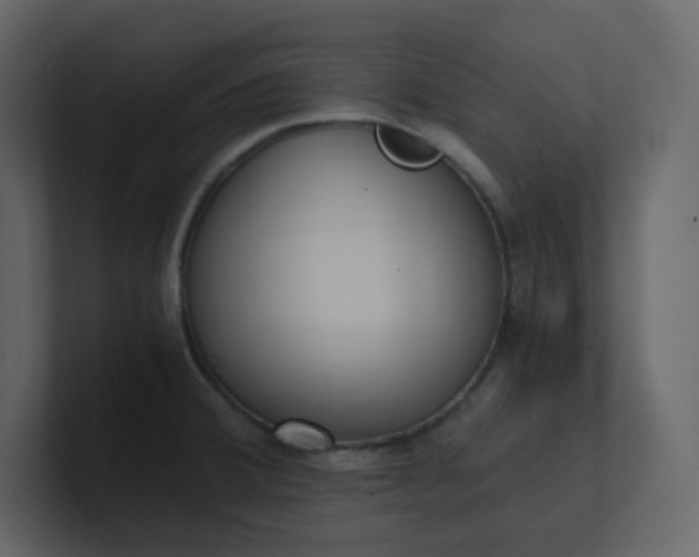 X0000101121380200807101533