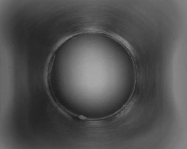 X0000101121381200807101533