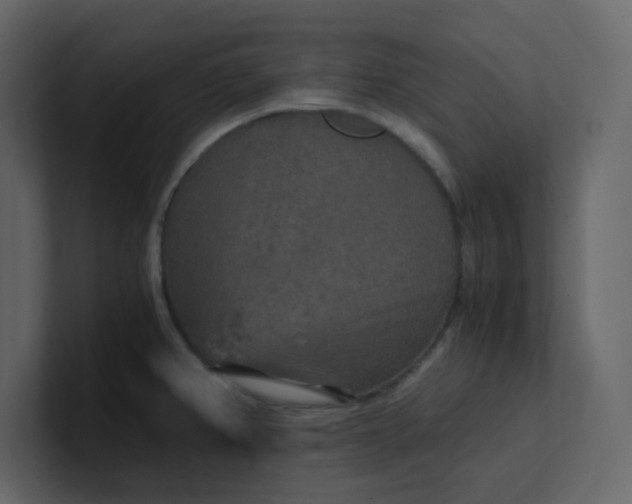 X0000101121382200807101533