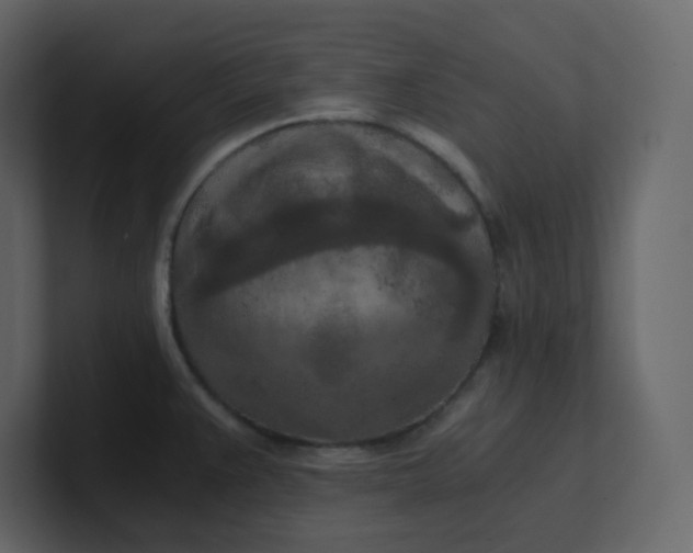 X0000101121383200807101533